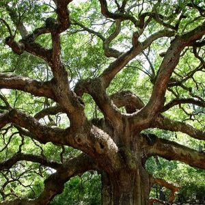 Meet your Posher, Tera